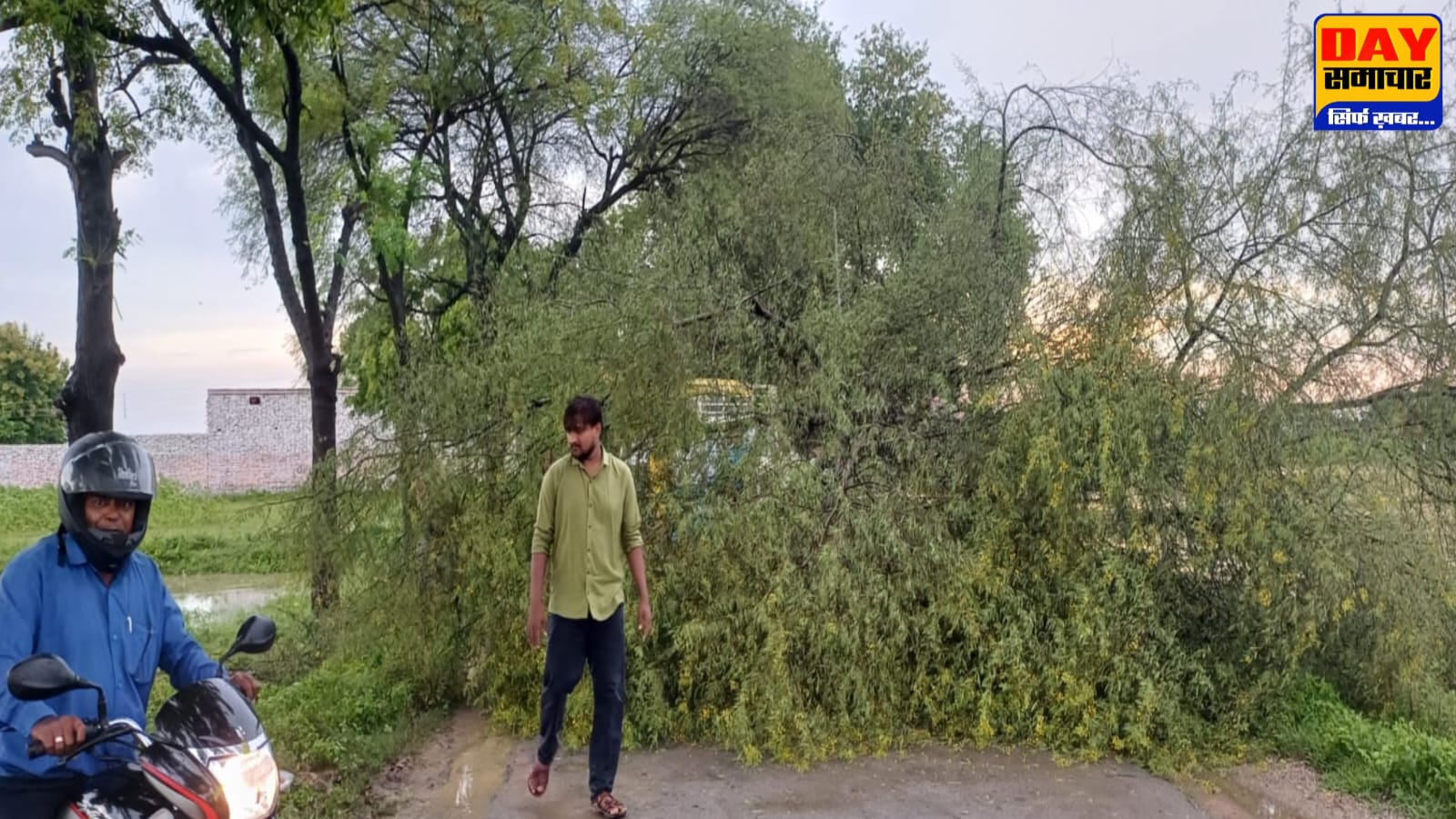 प्रधानमंत्री मार्ग पर पेड़ गिरने से आवागमन बाधित, लगा लम्बा जाम