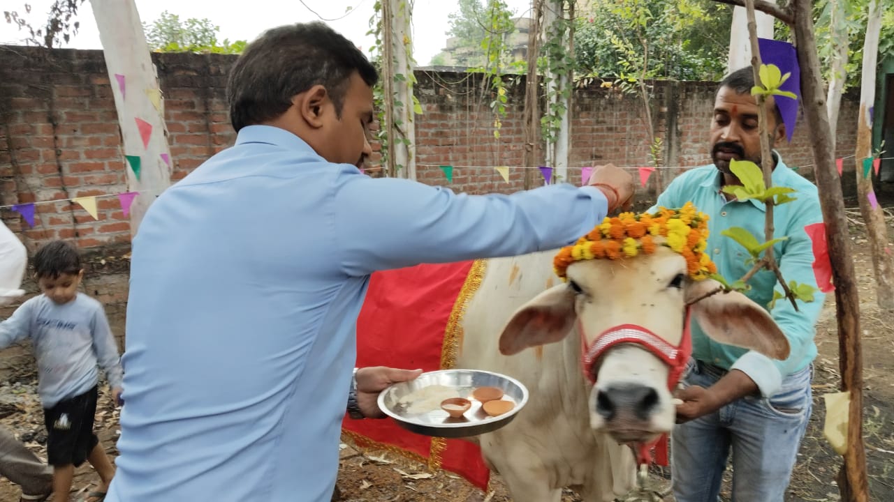 गोपाष्टमी पर गौशाला में की गायों की पूजा
